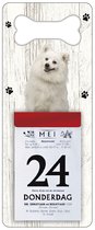 Scheurkalender 2024 Hond: Japanse Spits