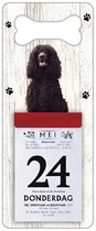Scheurkalender 2024 Hond: Ierse Water Spaniel