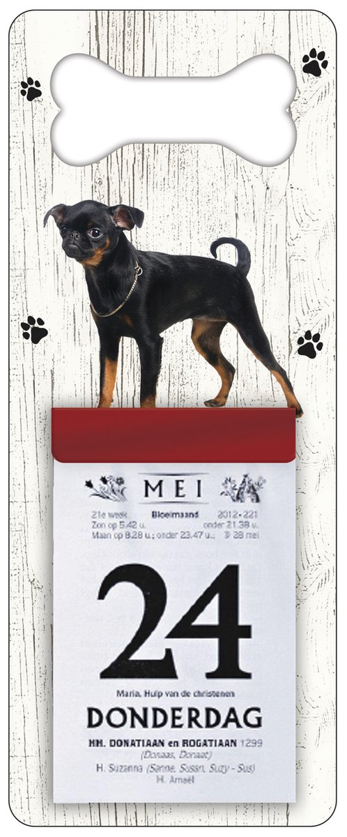 Scheurkalender 2026 Hond: Petit Brabancon
