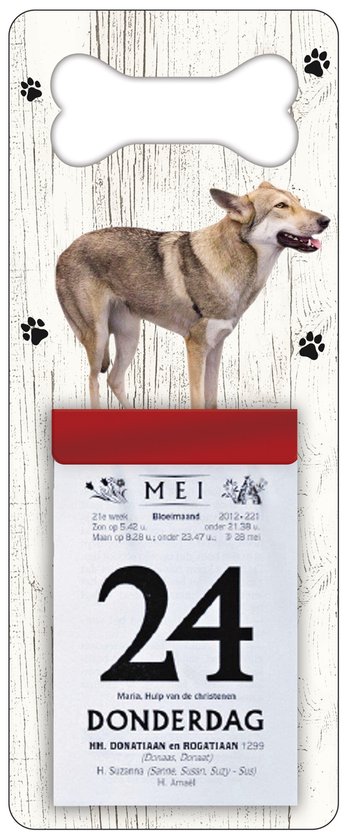 Scheurkalender 2026 Hond: Saarloos Wolfhond