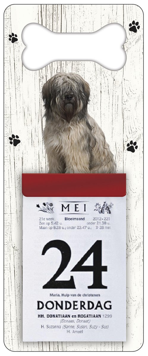 Scheurkalender 2026 Hond: Bobtail