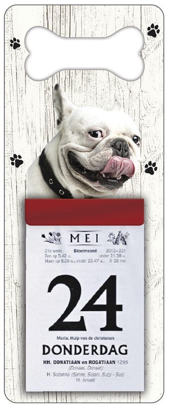 Scheurkalender 2026 Hond: Bulldog