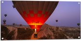 WallClassics - Tuinposter – Luchtballonnen bij Bergen - 100x50 cm Foto op Tuinposter  (wanddecoratie voor buiten en binnen)