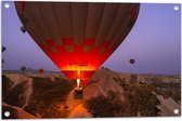 WallClassics - Tuinposter – Luchtballonnen bij Bergen - 75x50 cm Foto op Tuinposter  (wanddecoratie voor buiten en binnen)