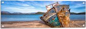 WallClassics - Tuinposter – Scheepswrak gestrand op Strand - 90x30 cm Foto op Tuinposter  (wanddecoratie voor buiten en binnen)