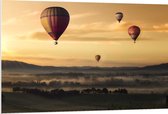 WallClassics - PVC Schuimplaat- Luchtballonen Zwevend boven Open Veld - 120x80 cm Foto op PVC Schuimplaat