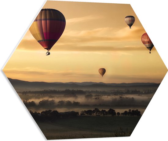 WallClassics - PVC Schuimplaat Hexagon  - Luchtballonen Zwevend boven Open Veld - 60x52.2 cm Foto op Hexagon (Met Ophangsysteem)