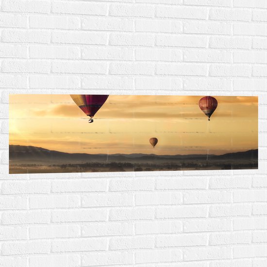 WallClassics - Muursticker - Luchtballonen Zwevend boven Open Veld - 120x40 cm Foto op Muursticker
