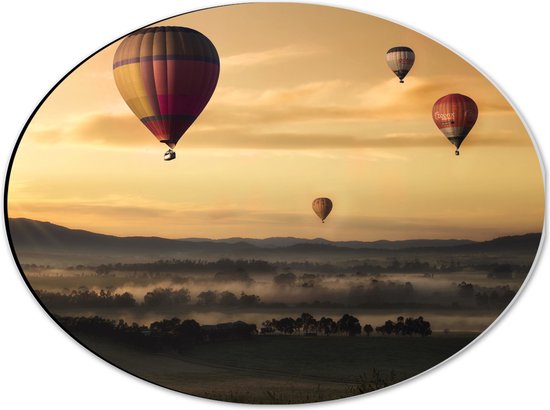 WallClassics - Dibond Ovaal - Luchtballonen Zwevend boven Open Veld - 40x30 cm Foto op Ovaal (Met Ophangsysteem)