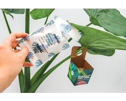 Spint bestrijden | 100% gifvrij | 500 Persi roofmijten | Insect Heroes | 5 m² of 5 kamerplanten | Biologisch | Natuurlijke vijanden