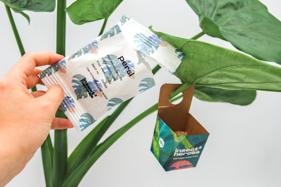 Insect Heroes Spint bestrijden - Persi roofmijten - Biologisch - 500 stuks