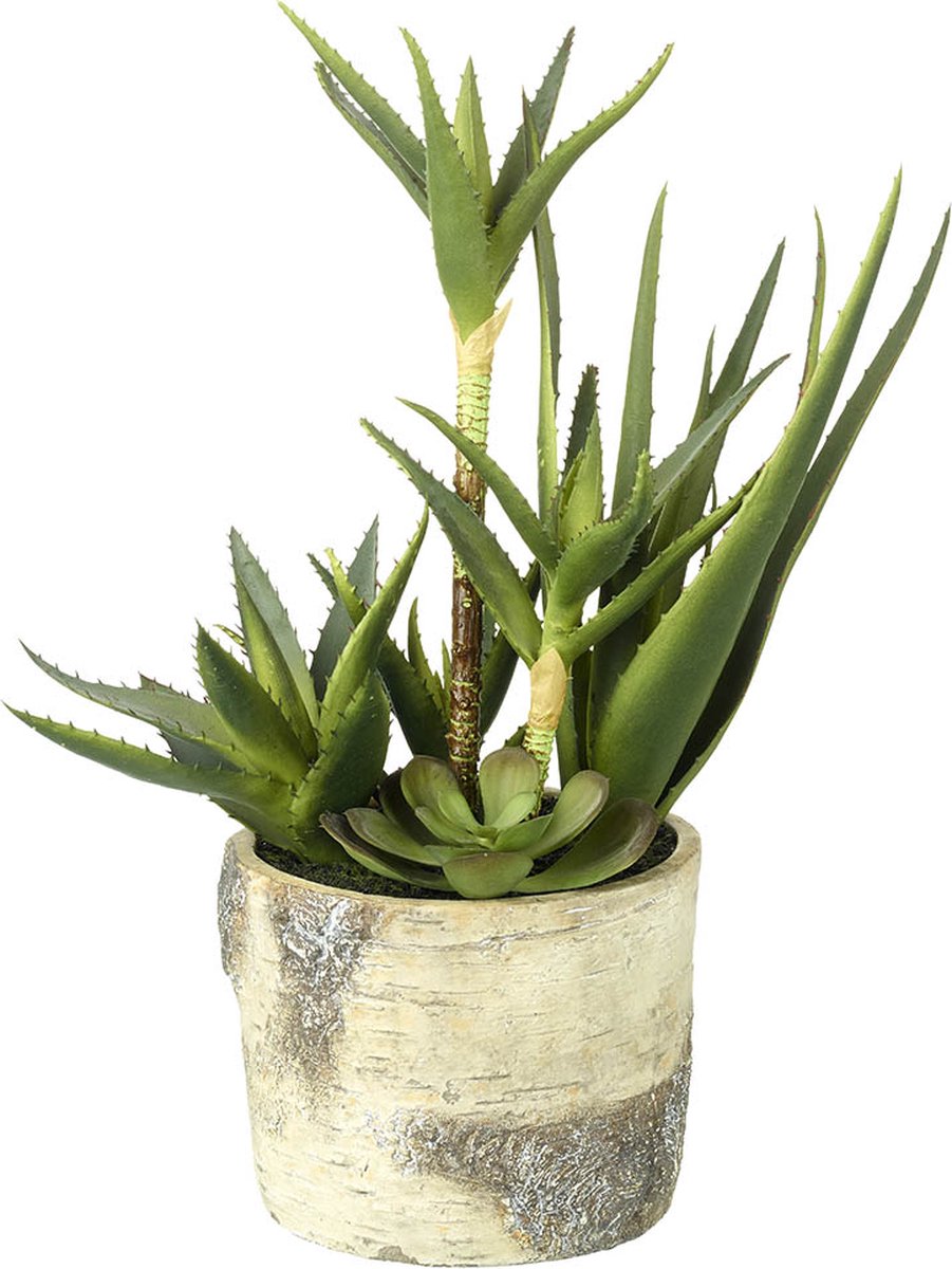 Parlane Kunst Succulent mix in sierpot - 19 x 19 x 43 cm