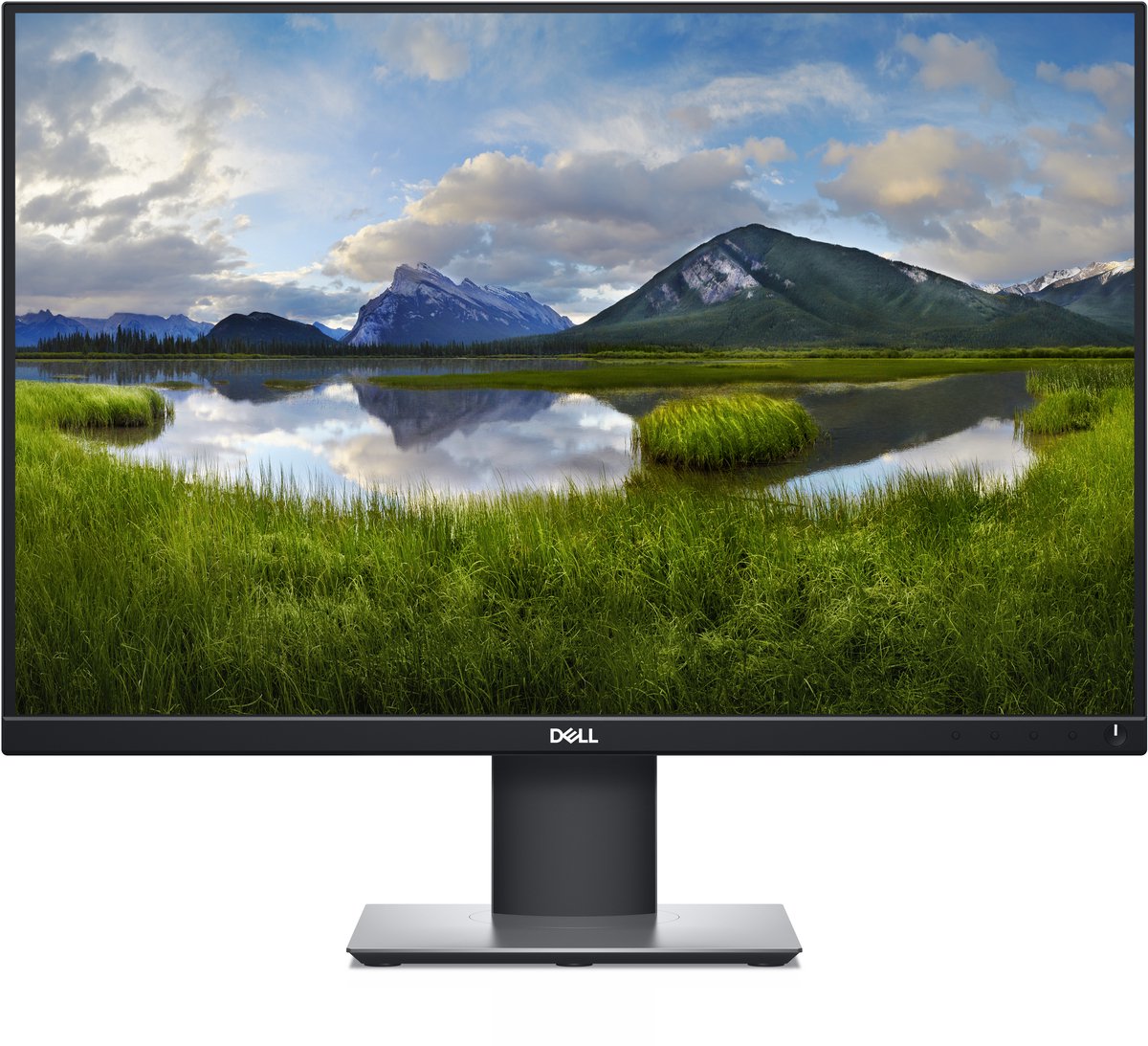 Dell P2421 - WUXGA Monitor - 24 inch