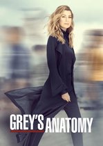 Grey's Anatomy S14