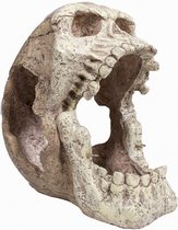 Skull Lizard Louger - Lounger voor reptielen