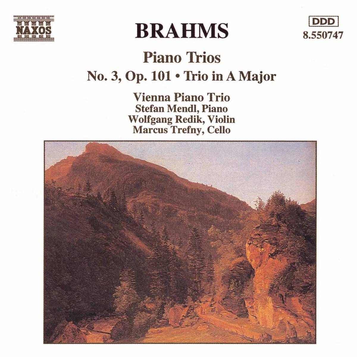 Vienna Piano Trio - Brahms: Piano Trio 3 (CD)