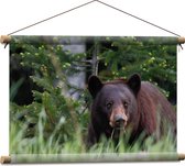 WallClassics - Poster de jardin - Ours grizzli avec Bébé ours dans la forêt  - 50x50 cm