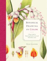 Botanical Drawing In Color