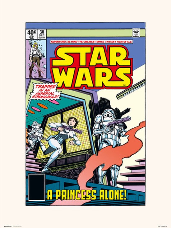 Disney STAR WARS 30 A PRINCESS ALONE - Art Print 30x40 cm