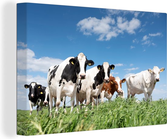 Canvas - Koeien - Koe - Dieren - Natuur - Weiland - Canvas schilderij koeien - 90x60 cm - Wanddecoratie