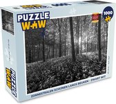 Puzzel Zonnestralen schijnen langs beuken - zwart wit - Legpuzzel - Puzzel 1000 stukjes volwassenen