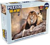 Puzzle Lion - Rocher - Animaux - Puzzle - Puzzle 1000 pièces adultes