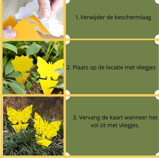 Professor Q Fruitvliegjes Vanger - Fruitvliegval - Rouwvliegjes
