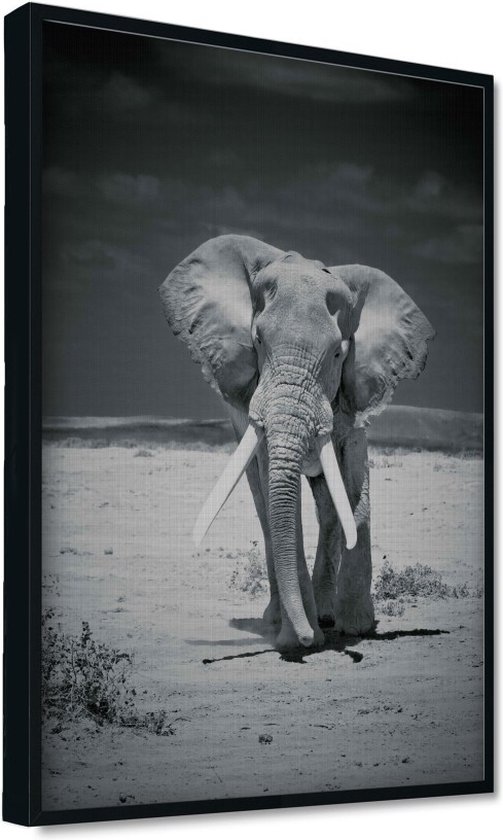 Akoestische panelen - Geluidsisolatie - Akoestische wandpanelen - Akoestisch schilderij AcousticPro® - paneel met olifant in Amboseli national park, Kenia - Design 80 - Basic - 60X90 - zwart- Wanddecoratie - woonkamer - geluidsdemper - studio schuim
