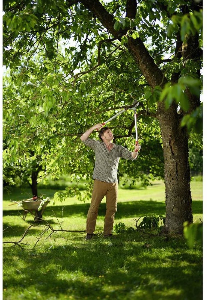 Wolf-Garten Power Cut RS 800 V Coupe-branches - 50 mm