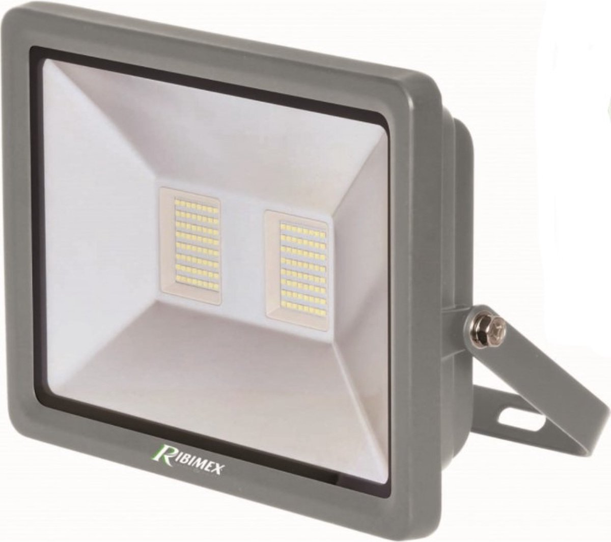 Ribimex - Ledprojector - 100 W