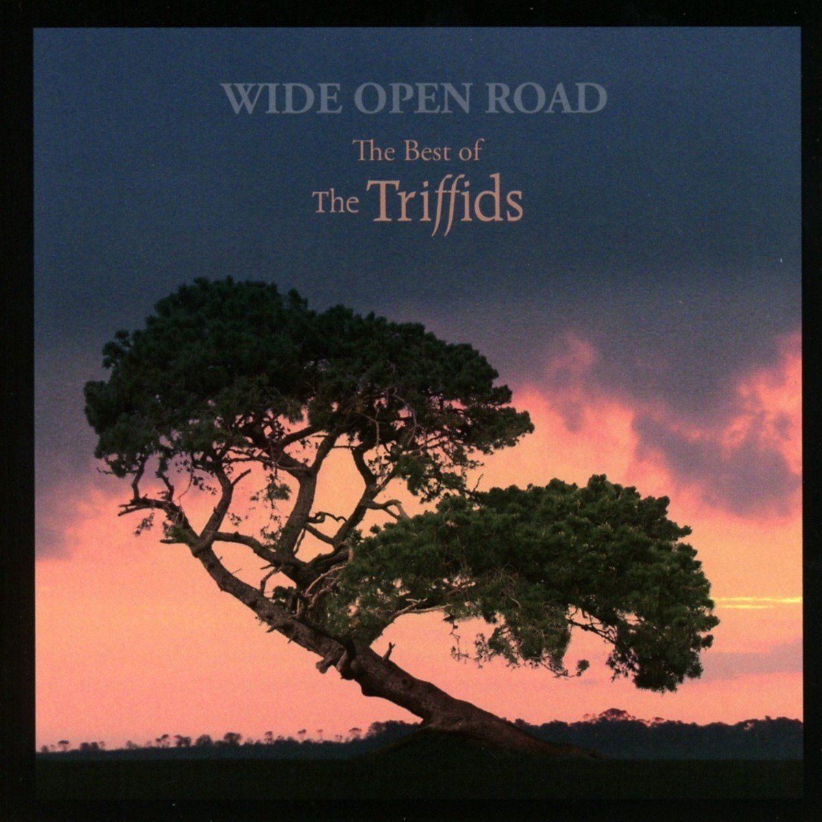 The Triffids - Wide Open Road (The Best Of The Triffids) (CD)