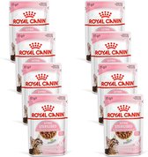Royal Canin Kitten Sterilised Gravy - Kitten-Kattenvoer - 8 x 12x85 g