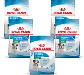 Royal Canin Mini Puppy - Puppy- Nourriture pour chiens - 5 x 800 g