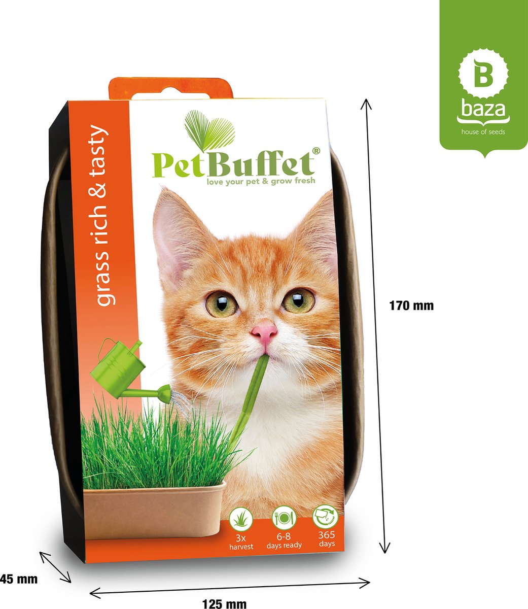 Pet-Buffet herbe riche et savoureuse 6x croissance herbe pour votre chat