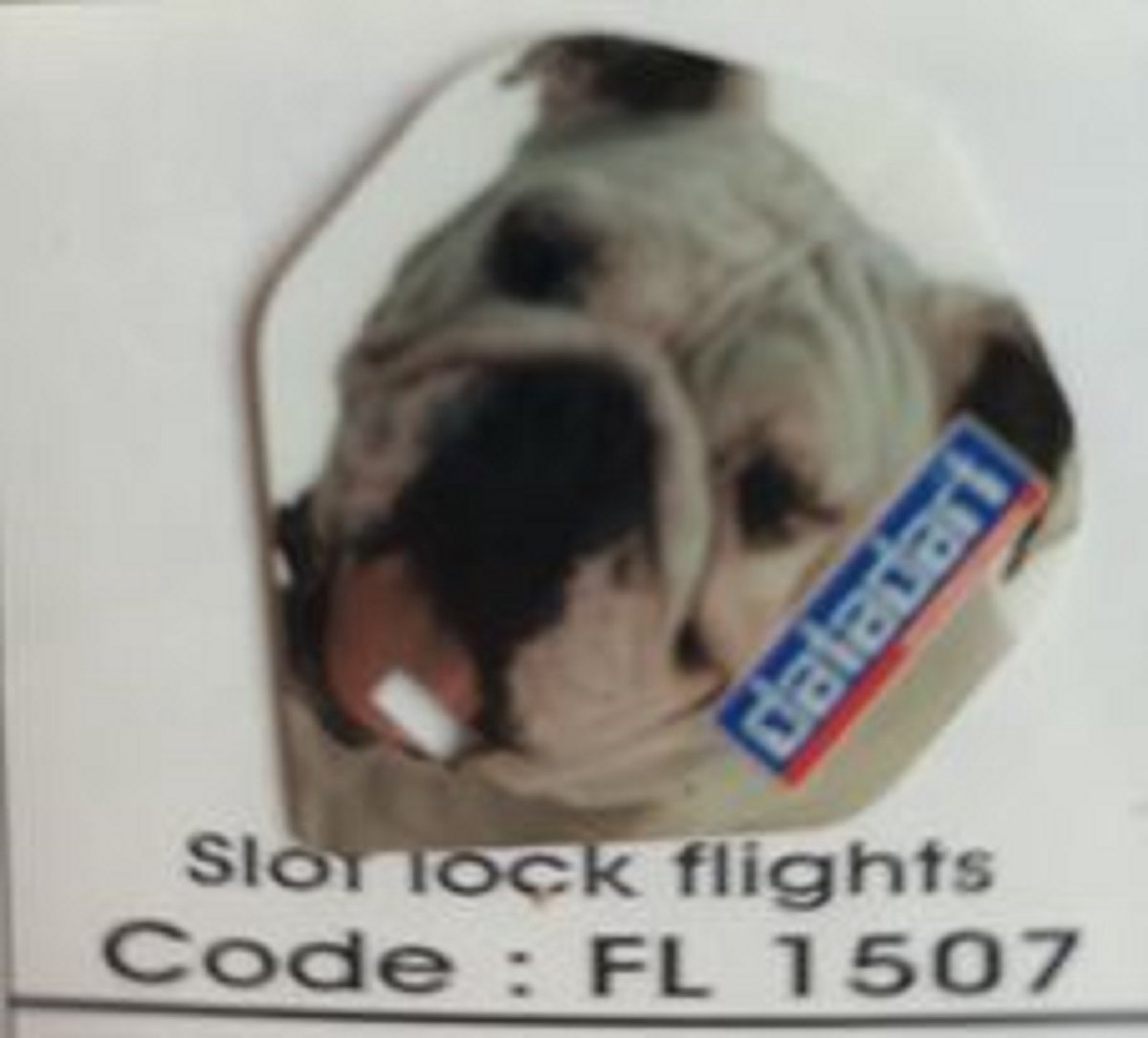 Dart Flights - 10 sets (30 stuks) - 75 micron - Slot Lock Flights