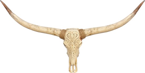 Vtw Living - Longhoorn Skull - Dierenschedel - Dierenhoofd - 150 cm