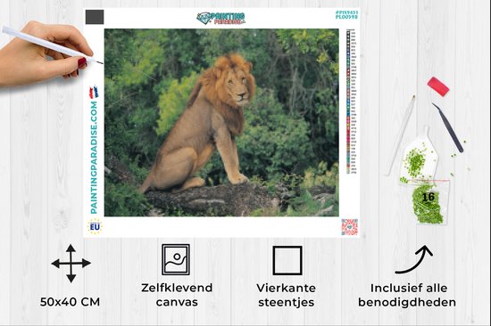 Diamond Painting Landschap 5D Crystal Art Kits voor Volwassenen Groot, 5D Crystal Art Doe-het-zelf Kunst en Ambachten Strass Borduurwerk Kruissteek Diamond Painting Landschap 5D Crystal Art Kits voor Volwassenen Groot, 5D Crystal Art Doe-het-zelf Kunst en Ambachten Strass Borduurwerk Kruissteek