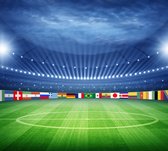 Voetbalstadion world cup - Fotobehang (in banen) - 250 x 260 cm