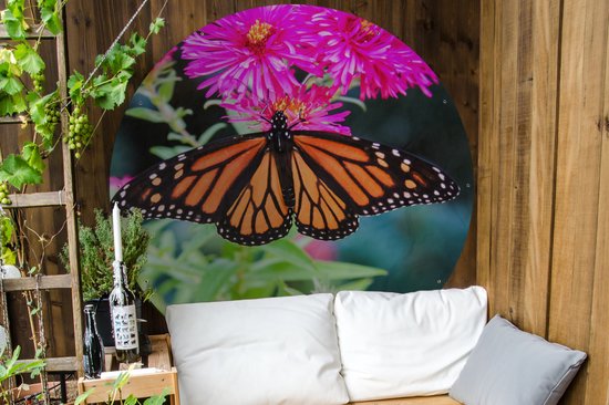 Garden Circle Butterfly - Botanique - Fleurs - 150x150 - Affiche Ronde de Jardin - Extérieur