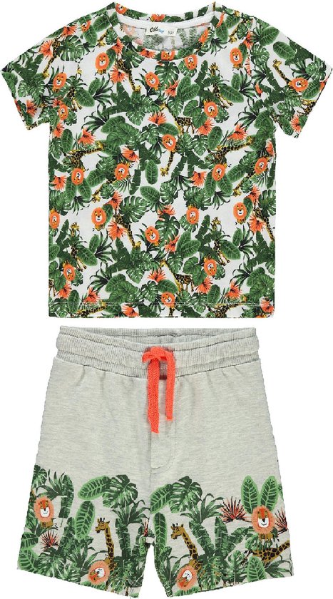 Dames bedrukt hemd tweedelige set shirt en broek met korte mouwen