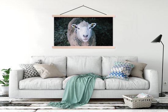 Porte-affiche avec affiche - Affiche scolaire - Moutons - Animaux - Bovins - 120x60 cm - Lattes vierges