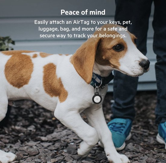 Bruine hond met halsband en zwarte AirTag-houder die aan de halsband is bevestigd.