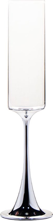 Vikko Décor Harp Collectie - Champagne Glazen - Set van 2 Champagne Coupe - Flutes - Zilver