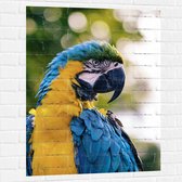 WallClassics - Muursticker - Geel met Blauwe Ara Papegaai - 75x100 cm Foto op Muursticker