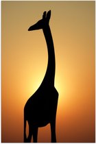 WallClassics - Poster Glanzend – Silhouette van Giraf voor Zonsondergang - 50x75 cm Foto op Posterpapier met Glanzende Afwerking