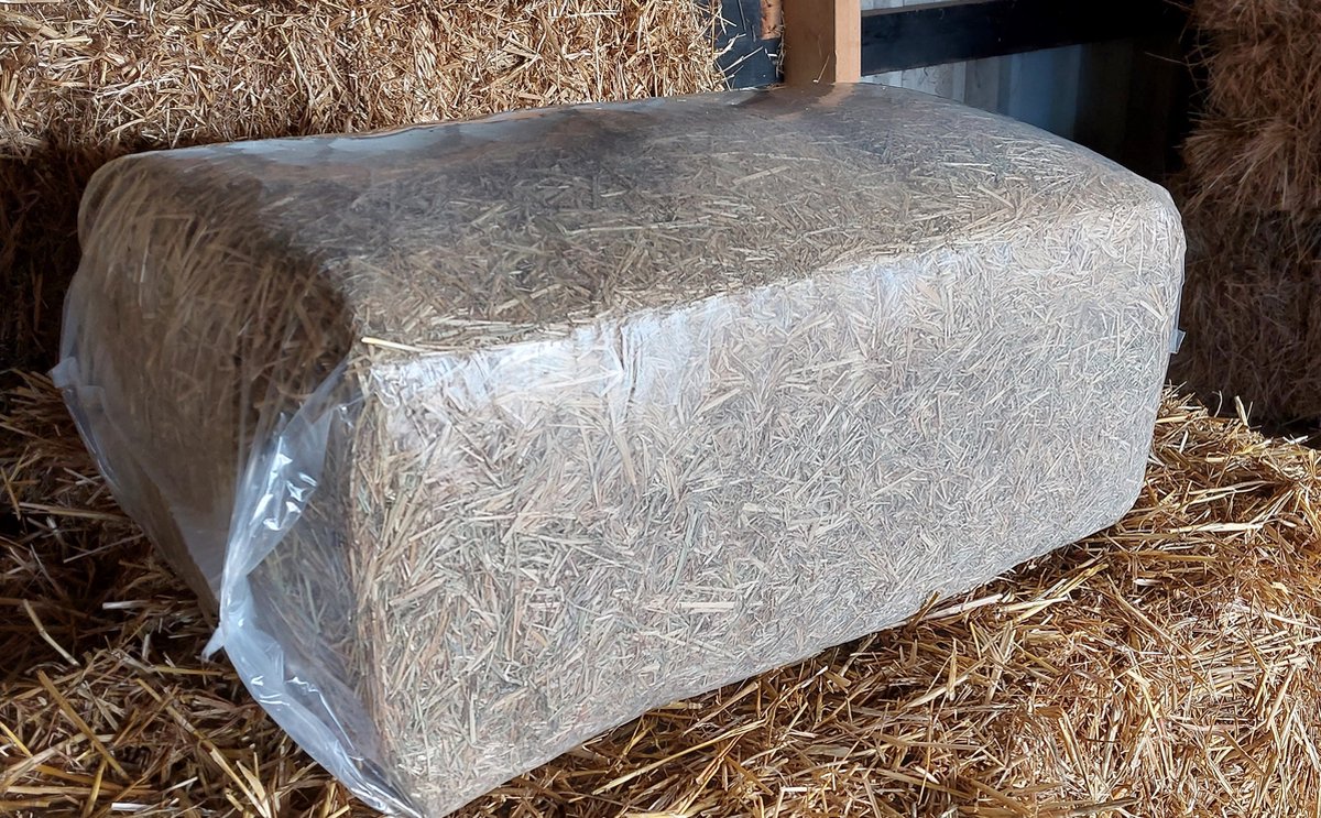 agrar-Store 7 kg de foin de prairie 1ère coupe foin de lapin, foin de  cochon d'Inde