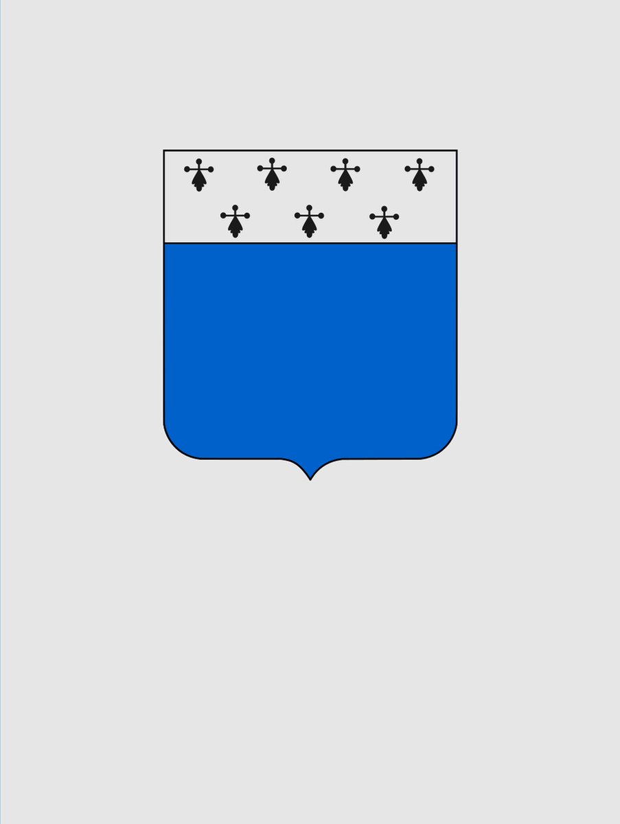 Vlag Lichtervelde 200x300cm