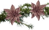 Fleurs de sapin de Noël sur clip - 2x pièces - beige foncé - plastique -15 cm