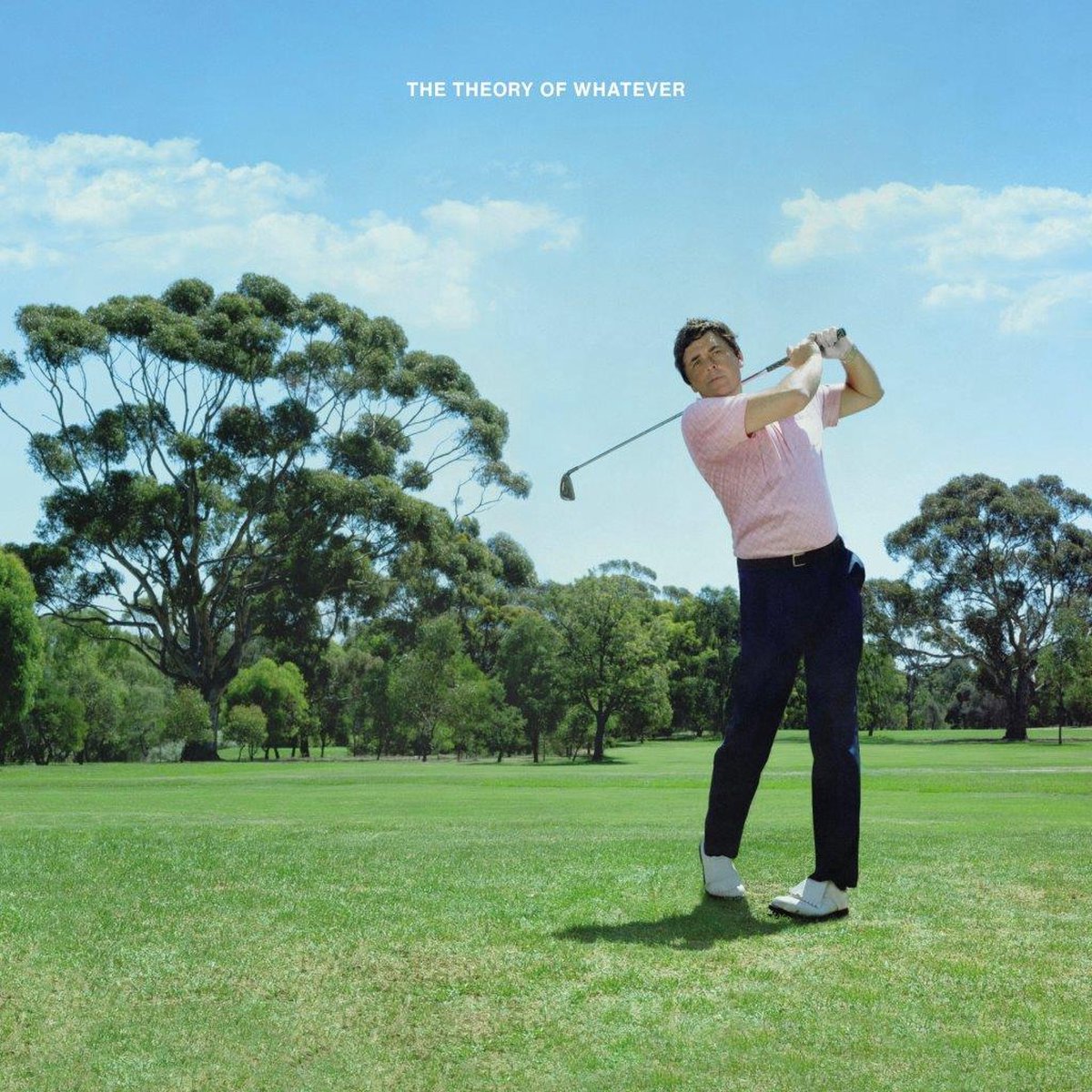 Jamie T - The Theory Of Whatever (LP)