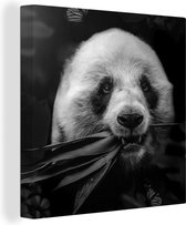 Canvas Schilderij Dieren - Panda - Jungle - Zwart - Wit - 20x20 cm - Wanddecoratie